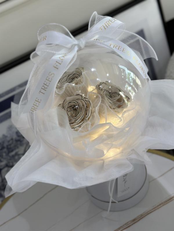 厄瓜多永生玫瑰波波球